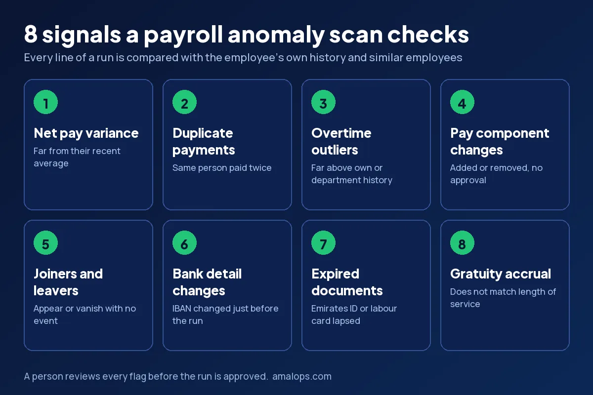 8 signals a payroll anomaly scan checks: net pay variance, duplicate payments, overtime outliers, pay component changes, joiners and leavers, bank detail changes, expired documents, gratuity accrual